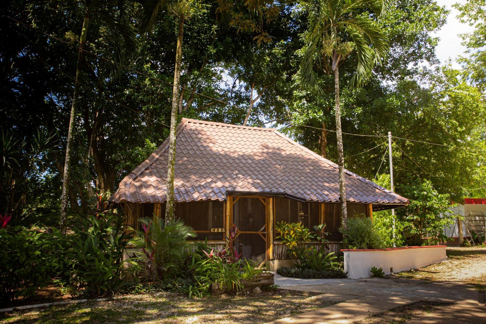 Falling Leaves Lodge San Ignacio Zewnętrze zdjęcie